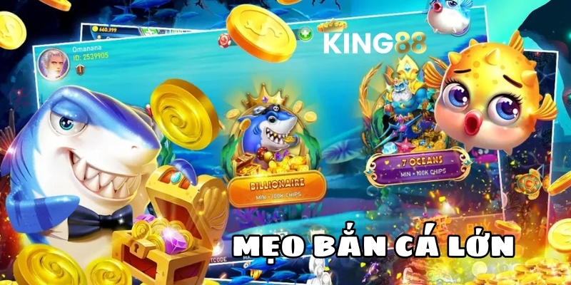 meo ban ca lon king88 1